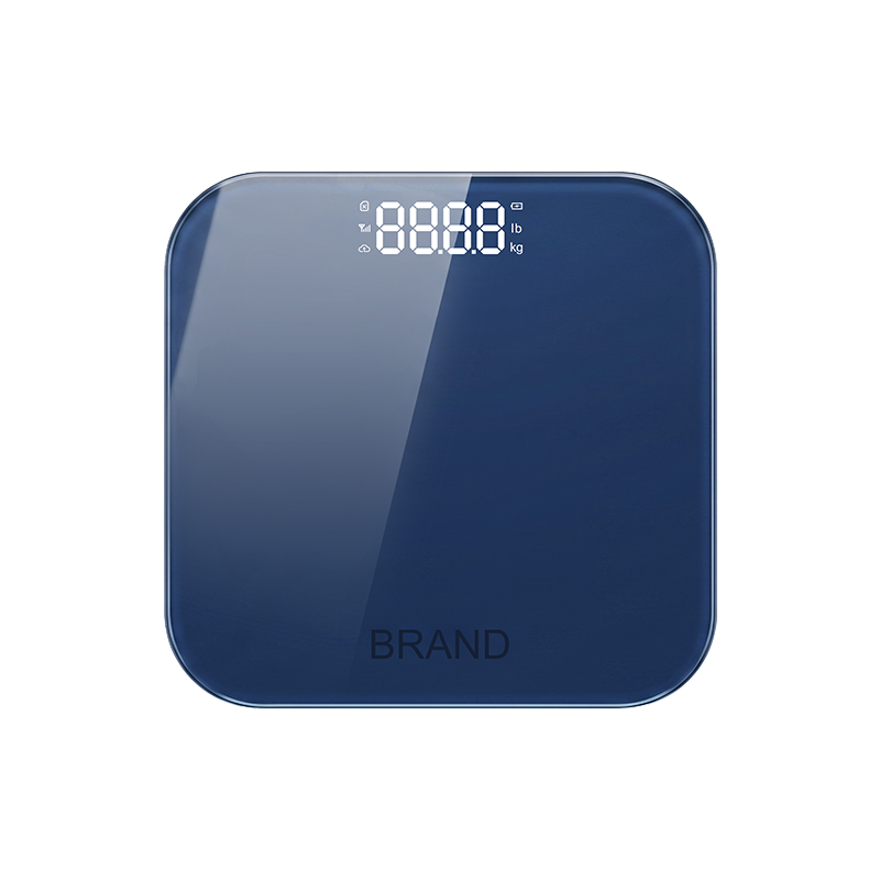 ValenceRPM Automatic Connected Body Weight Scale SCL-80A