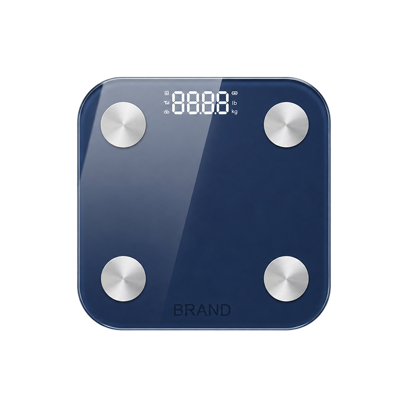 ValenceRPM Professional Body Composition Scale SCL-80B